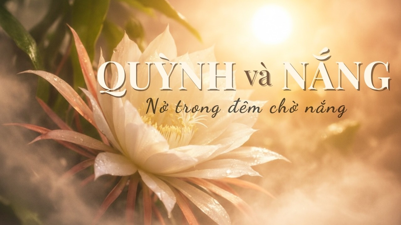 Quỳnh Và Nắng | Bản Tình Ca Nở Giữa Mùa Xuân  |Song Ca Nhạc Xuân Mới