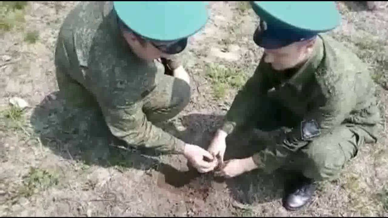отряд 2045