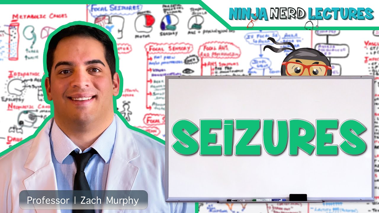 Seizures | Etiology, Pathophysiology, Clinical Features, Treatment, Complications/Status Epilepticus