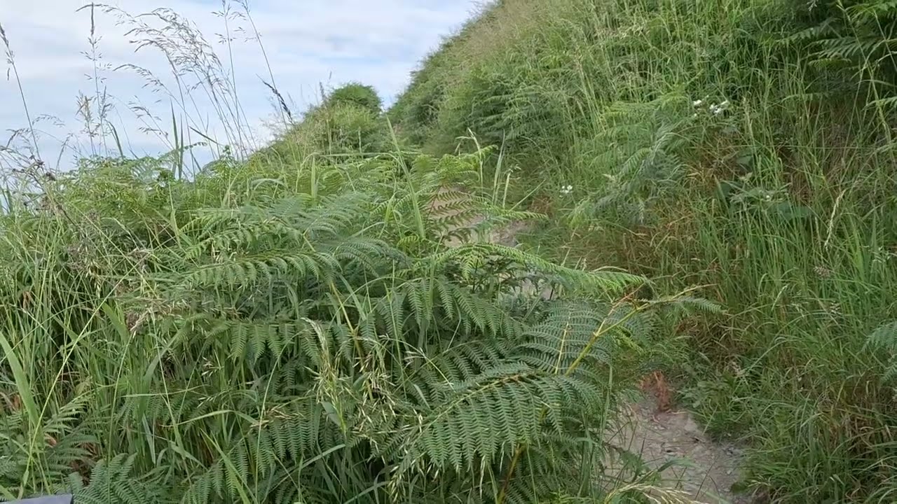Glen Beach Cliff Walk Co. Wicklow Travelvlog 2025