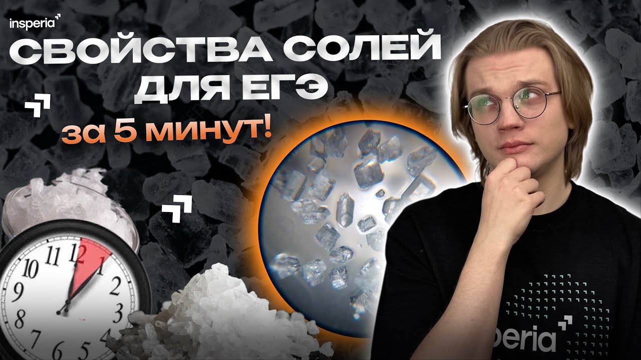 СВОЙСТВА СОЛЕЙ: основа для ЕГЭ по химии 2026