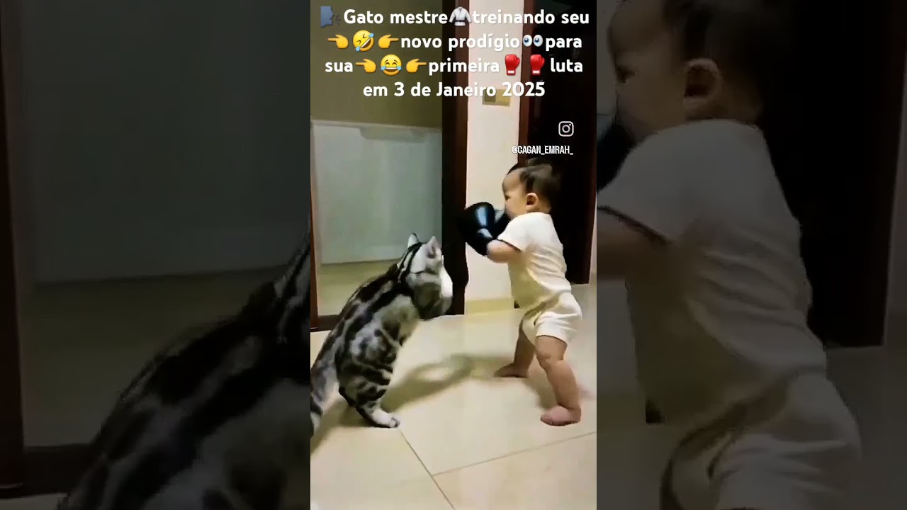 🗣️Prod&iacute;gio do boxe ele vai lutar#com😳#a#lenda#do#boxe#🥊🥊#Mohamed#👈🤣👉#Ali🥇🏆👀#Short👍😂