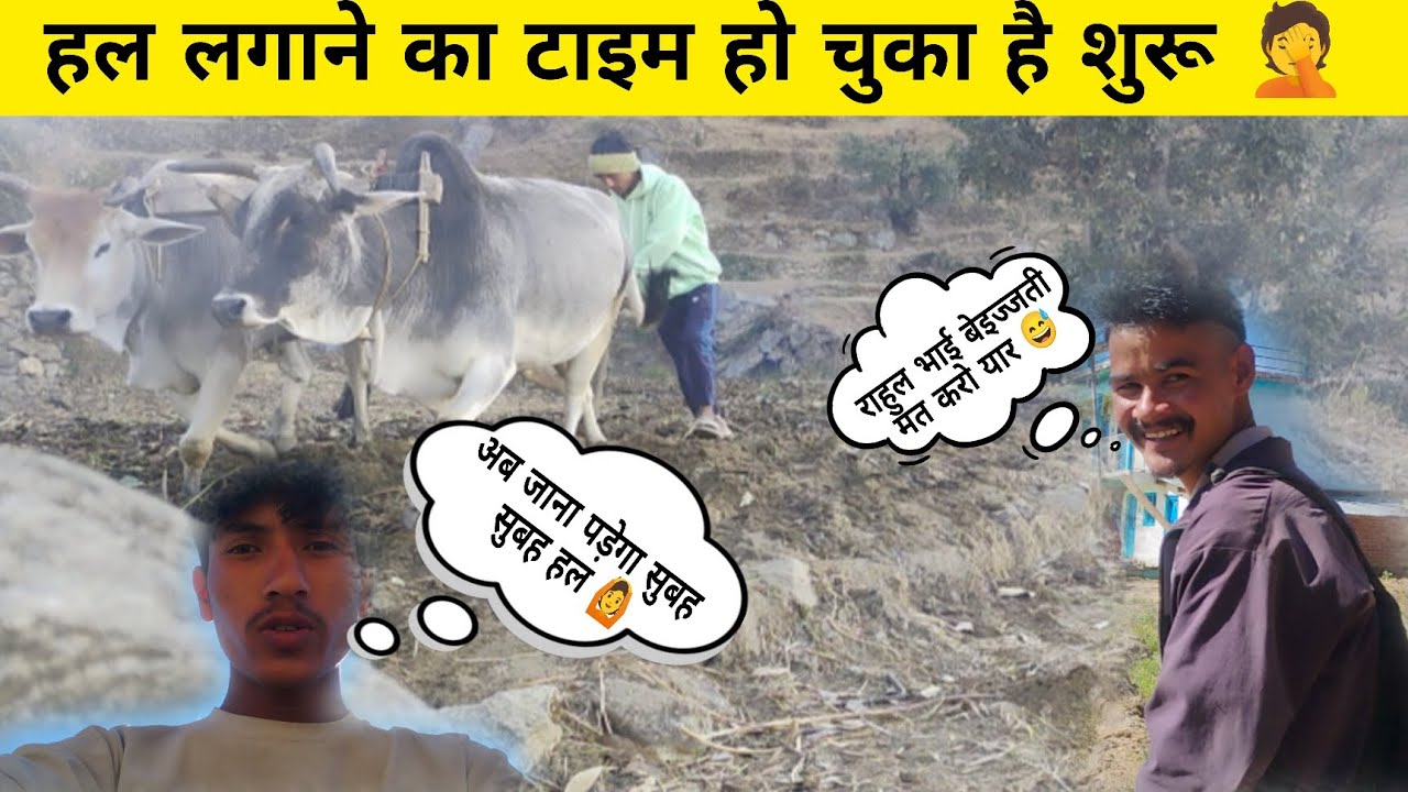 हल लगाने का टाइम हो चुका हैं शुरू अब आयेगी सुबह सुबह आफत 😱😱
