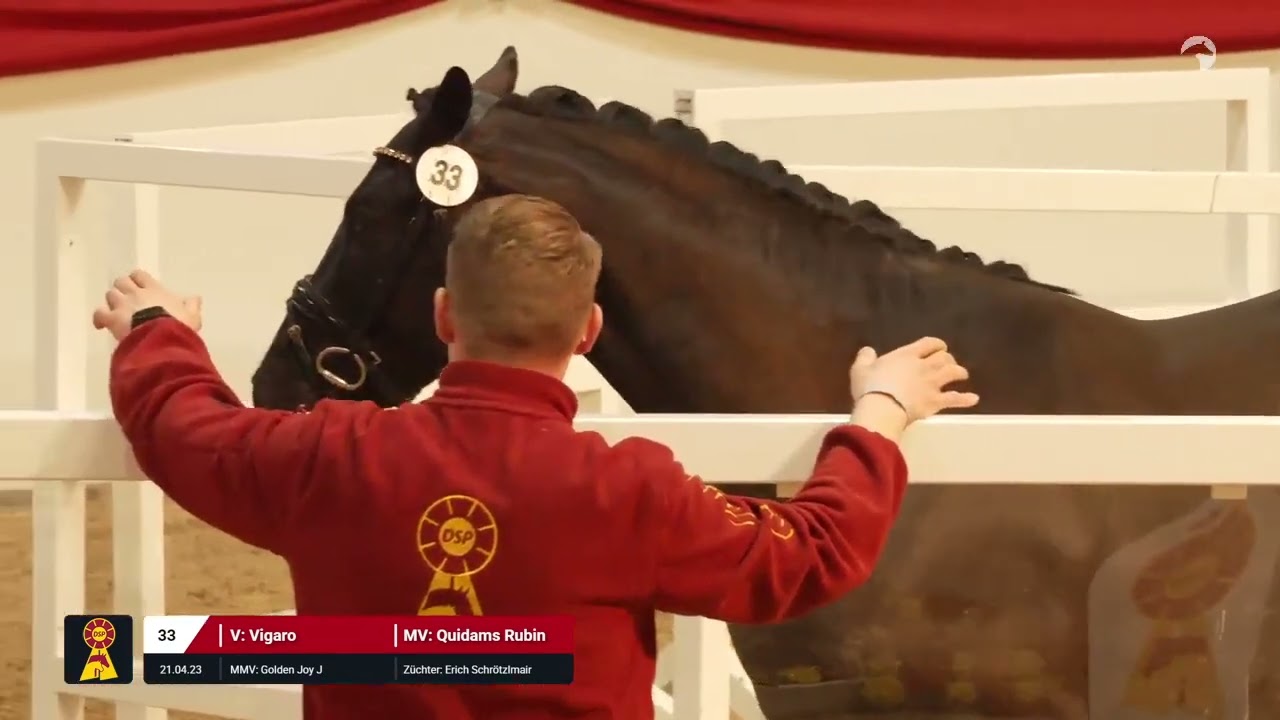 Lot 33 v. Vigaro / Quidams Rubin
