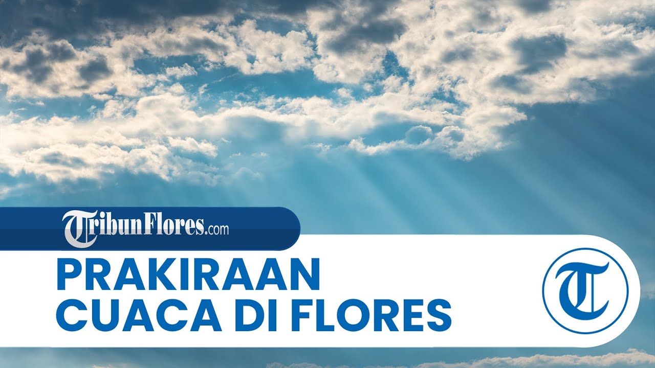 Prakiraan Cuaca di Flores Minggu 8 Februari 2026, Hujan Sedang Landa Semua Wilayah