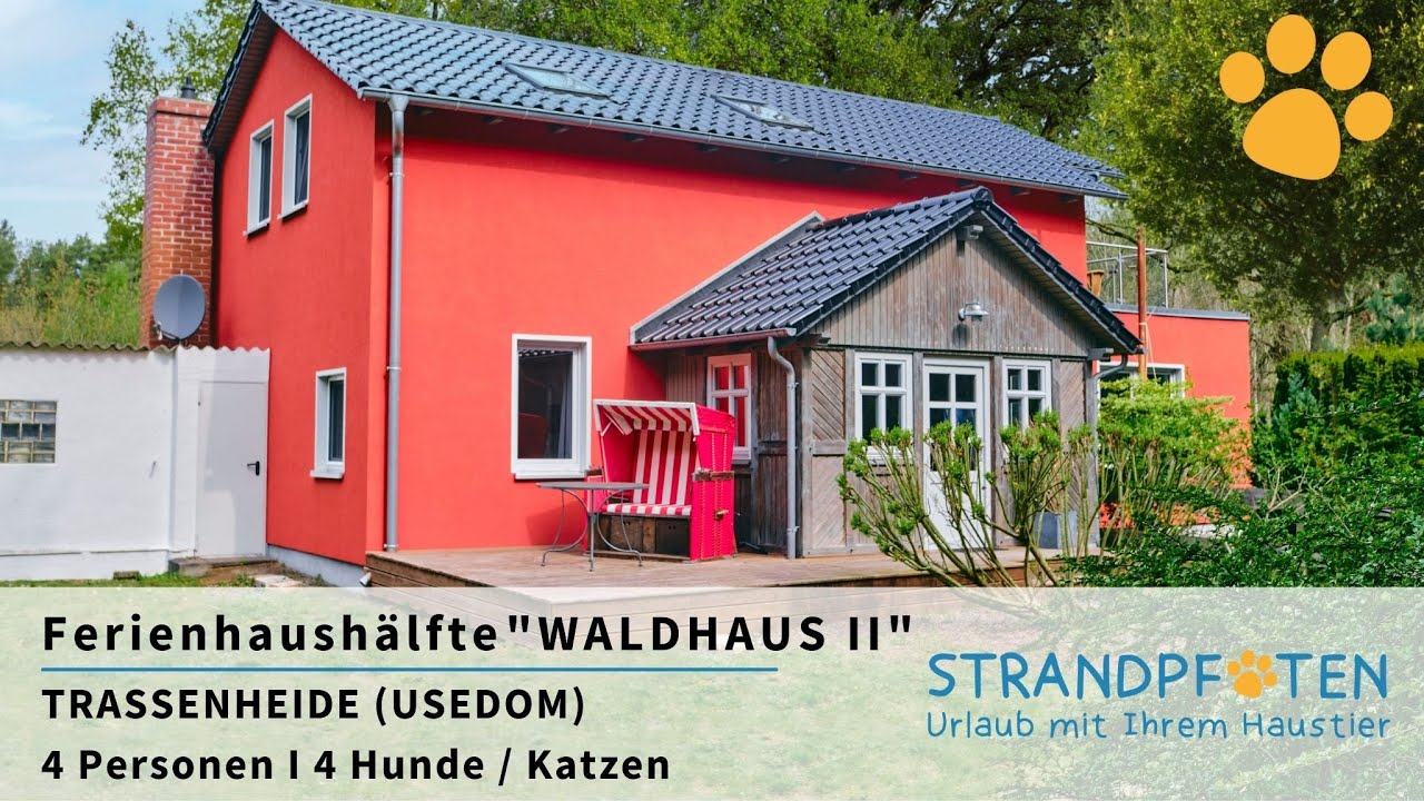 Ferienhaus mit Hund + Katze auf Usedom I Ostsee I Ferienhaushälfte „Waldhaus II“ I STRANDPFOTEN