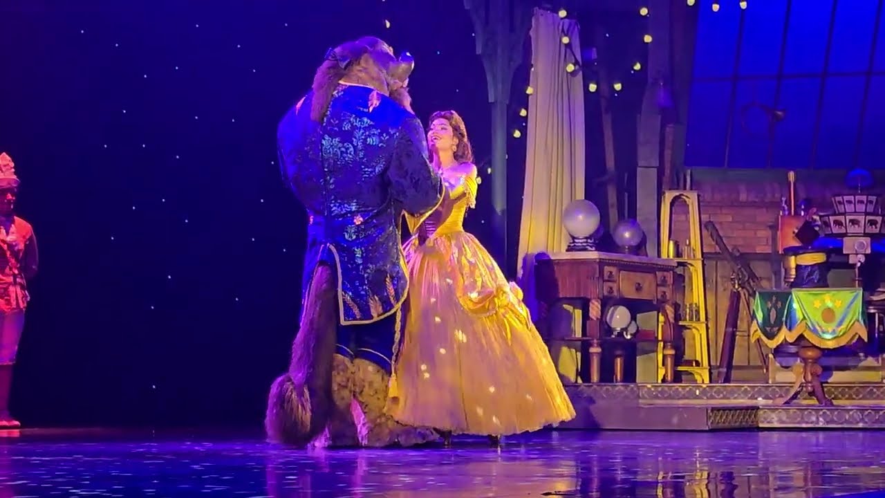 Mickey le magicien  Disneyland (cendrillon, belle et la bête, aladdin, le roi lion ,reine des neige)