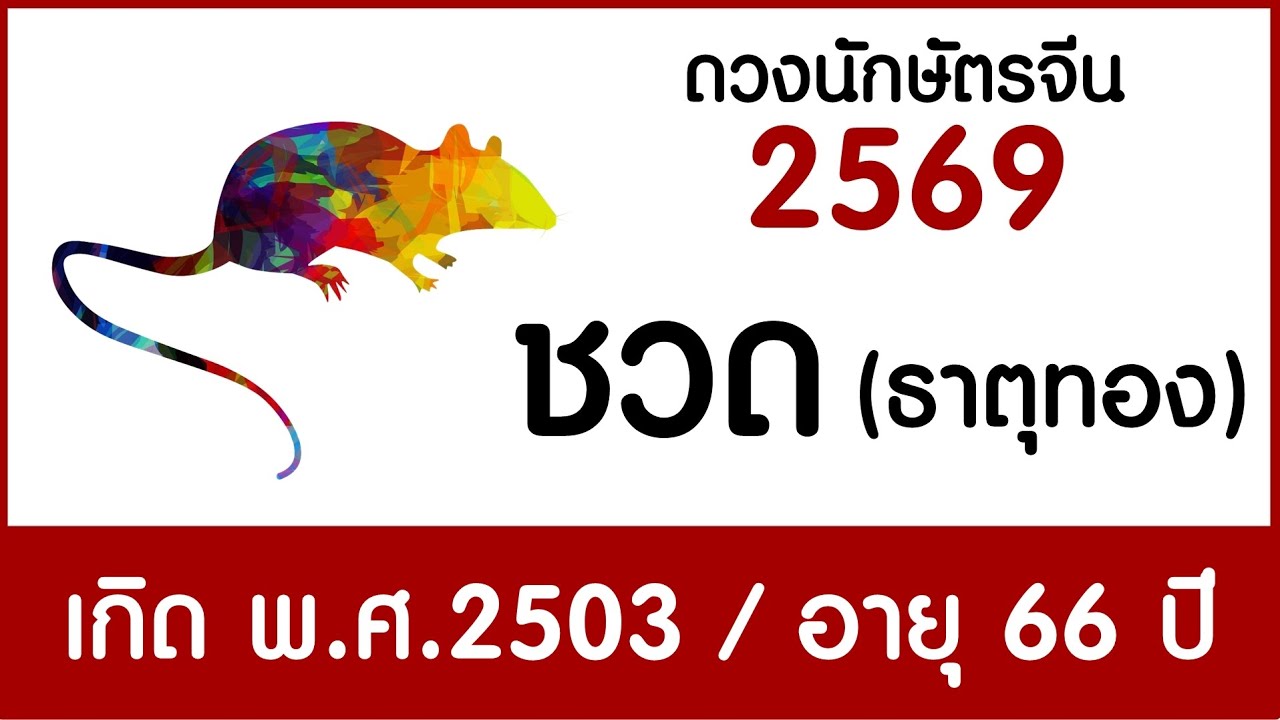 #ดวงคนปีชวด (ธาตุทอง) เกิด พ.ศ.2503 #ดวงปี2569 #astrology #chineseastrology2026 #horoscope2026