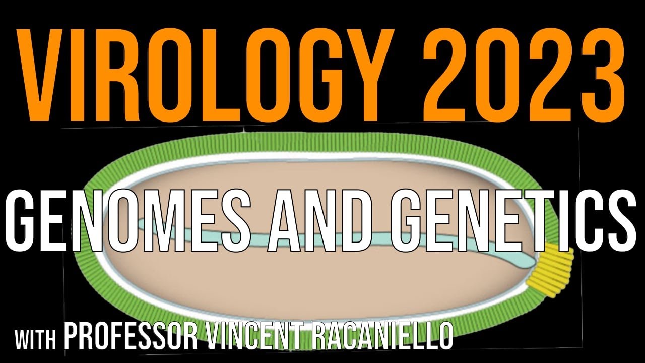 Virology Lectures 2023 #3: Genomes and Genetics
