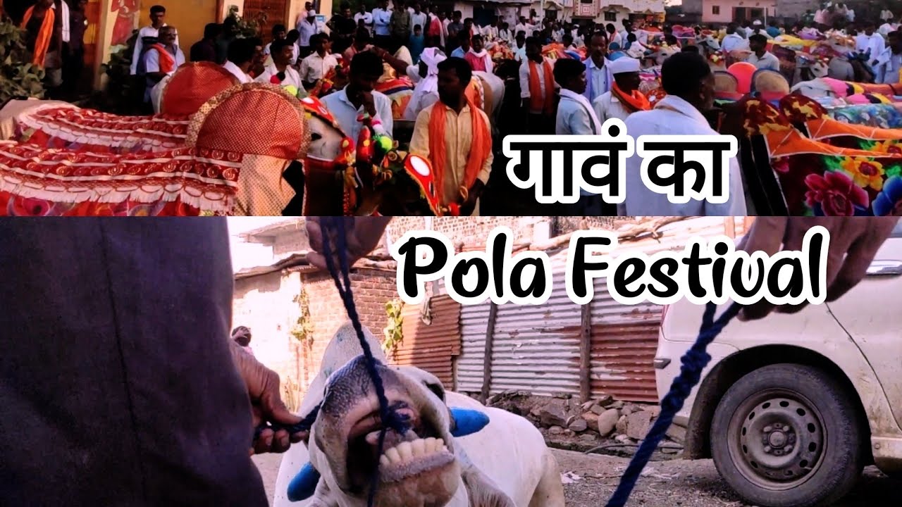All about pola festival in village || Pola Celebration || Bail Pola