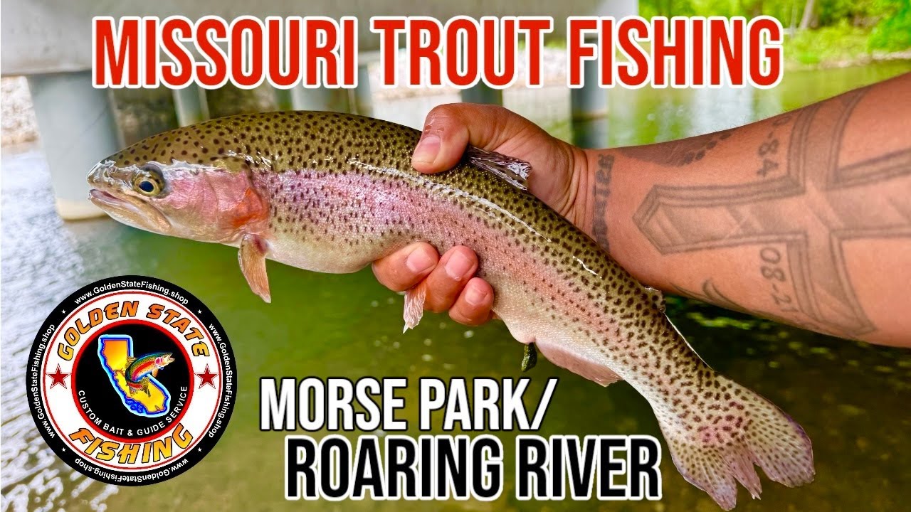 Missouri Trout fishing Roaring Rivers Cassville Morse Park Neosho MO