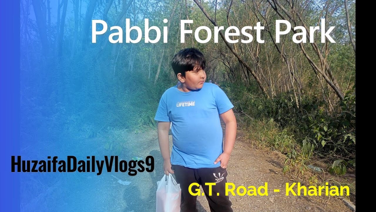 Pabbi Forest Park - Kharian - Unexpected Adventure!  - Our GT Road Trip