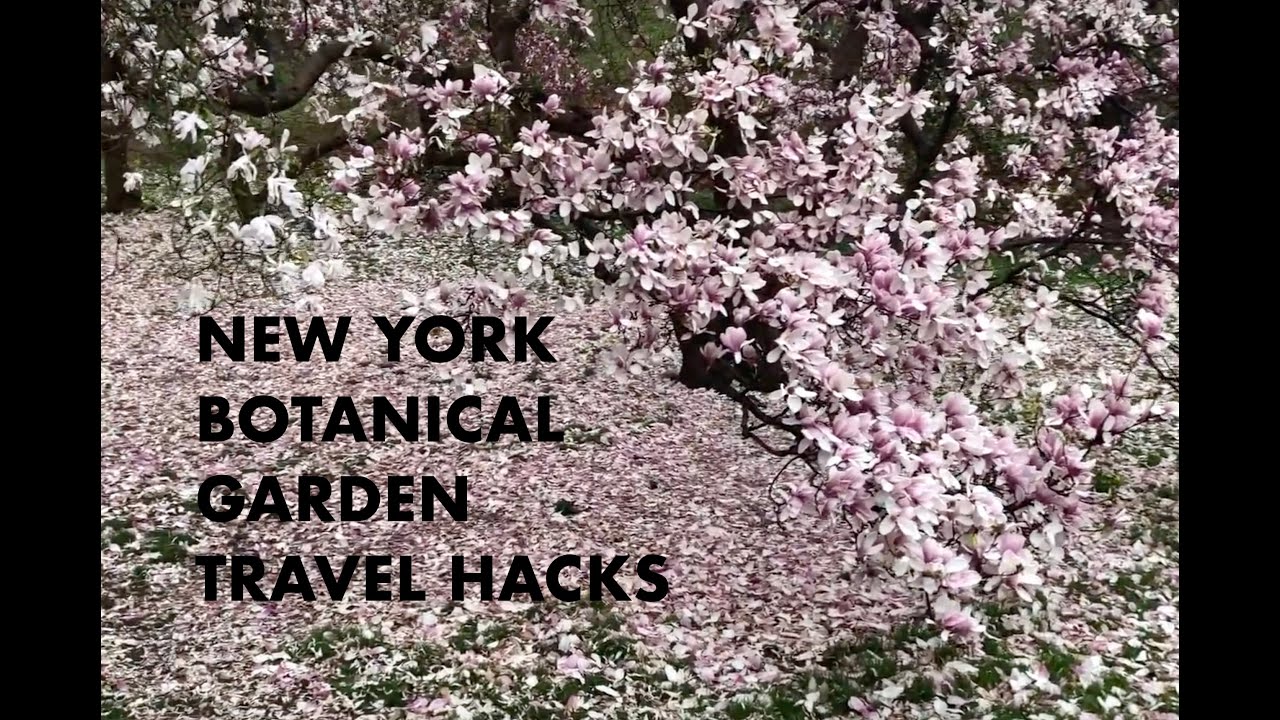Insider guide to the New York Botanical Garden: Top 3 hacks