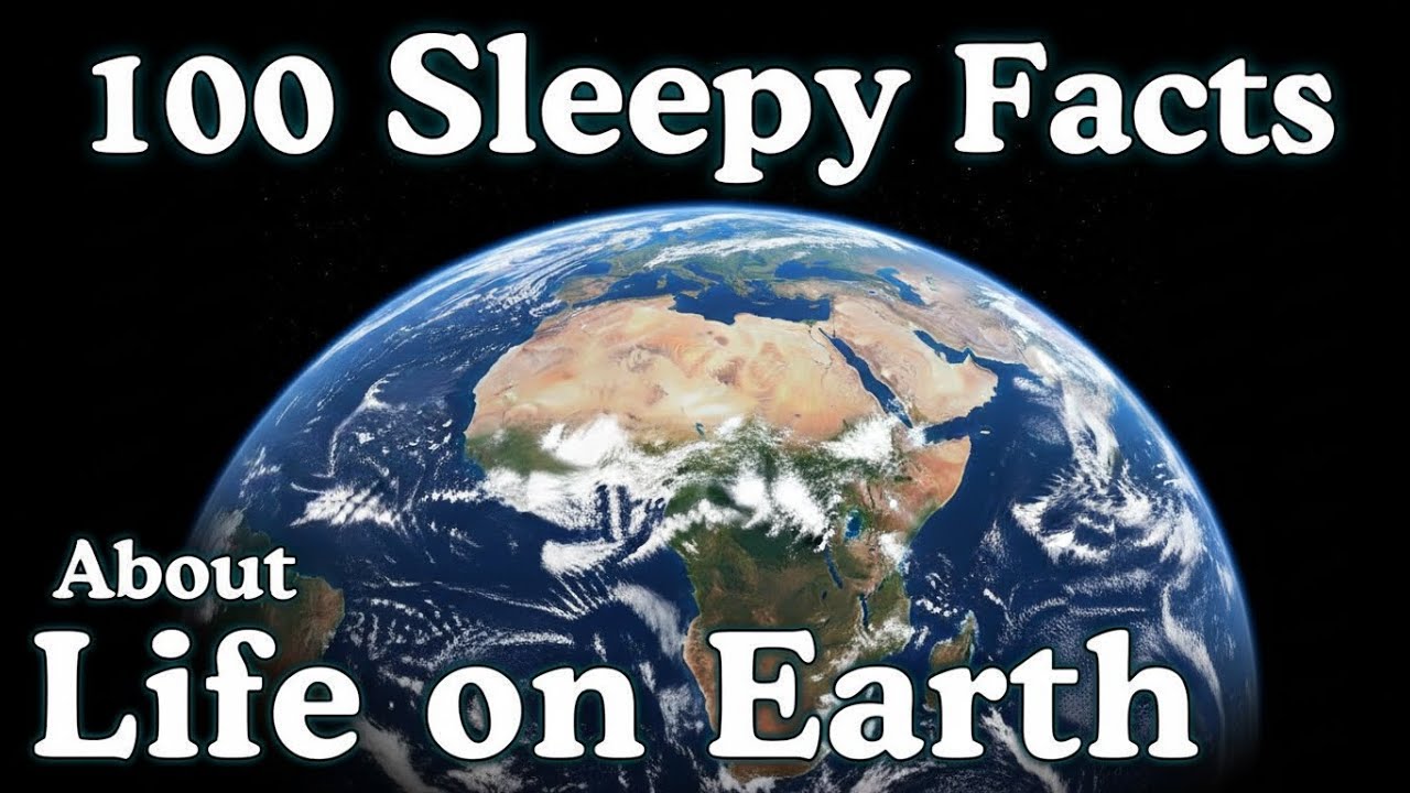 The Planet's Most Peaceful Facts For Deep Sleep
