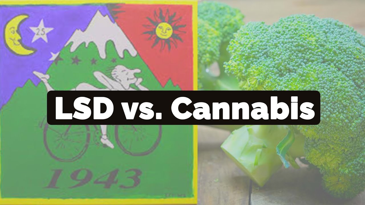 LSD harmloser als Weed?