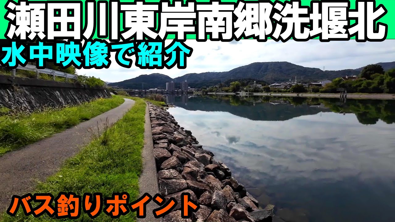 【2025秋】瀬田川東岸の南郷洗堰北側のバス釣りポイントを水中映像で紹介！バスやギルの魚影が濃い！