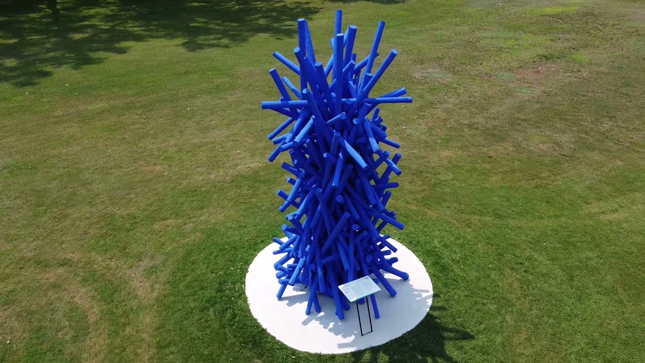 DJI Mini 2 - Bassett Park Tanglewood Sculpture - Drone Video - Adobe Premiere Pro - Buffalo, NY
