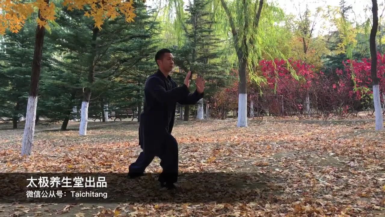 TaiChi WuDang 武当秘传太极拳三十六式，精致诠释三丰祖师太极拳论！