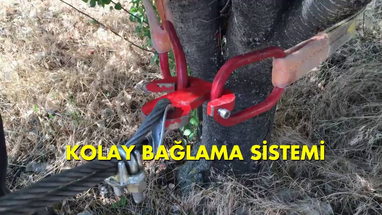 Kadıoğlu Vişne Silkme Hasat Makinesi Nasıl kullanılır? 2016