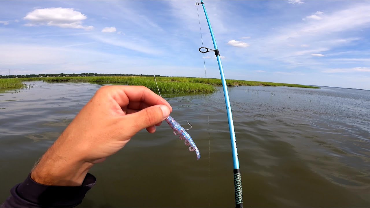 The Bite is on FIRE Here! (Beaufort SC Fishing Reports)