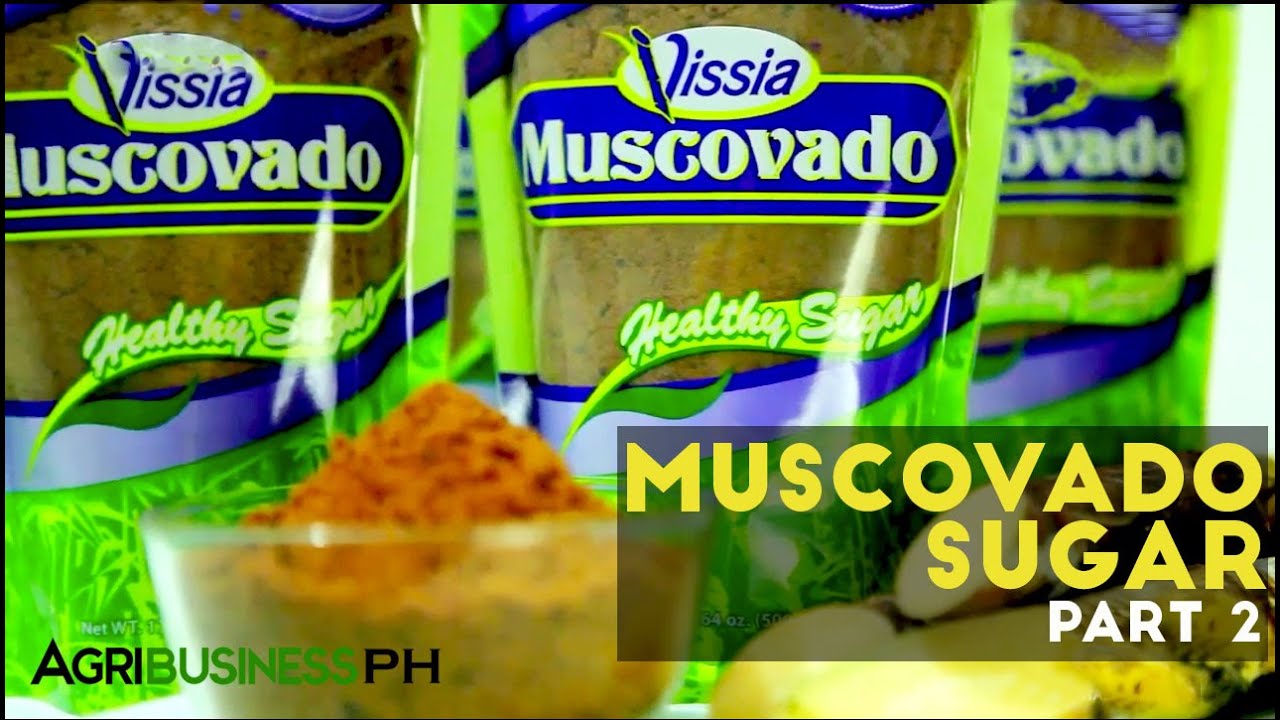 How to extract sugar cane : Muscovado sugar Part 2 #Agriculture