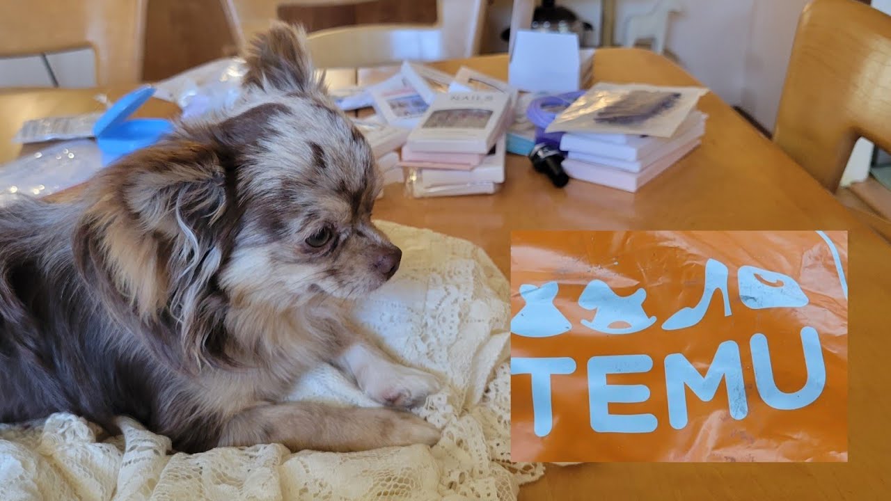 Retros temu affiliate haul