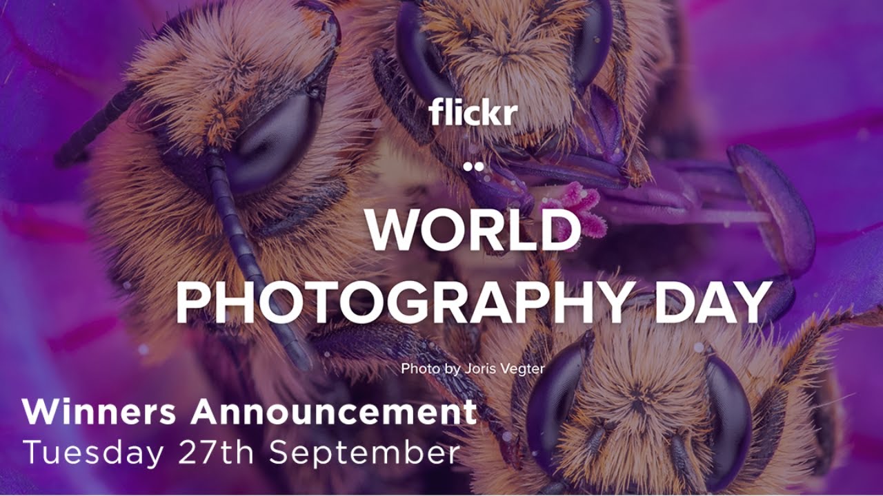 SmugMug Live Special - Flickr World Photography Day Contest Winners