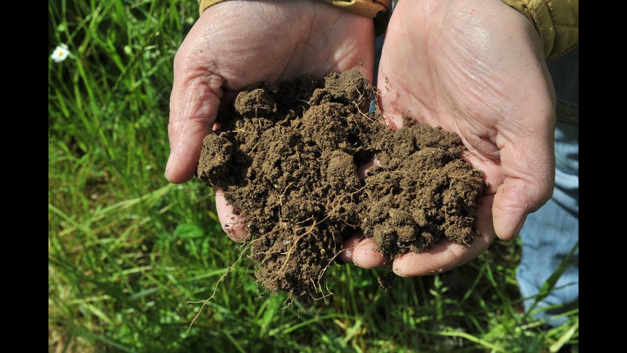 Ein Biobetrieb setzt auf PLOCHER