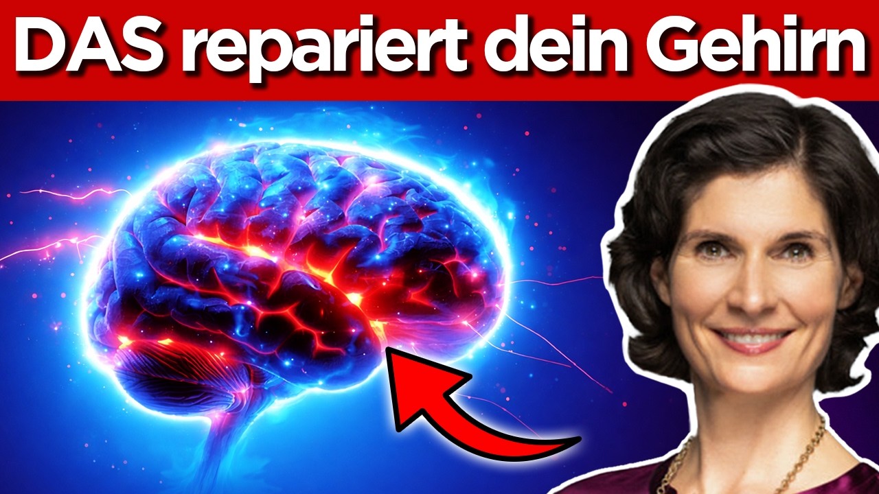 So reparierst du dein Gehirn (4 Faktoren)