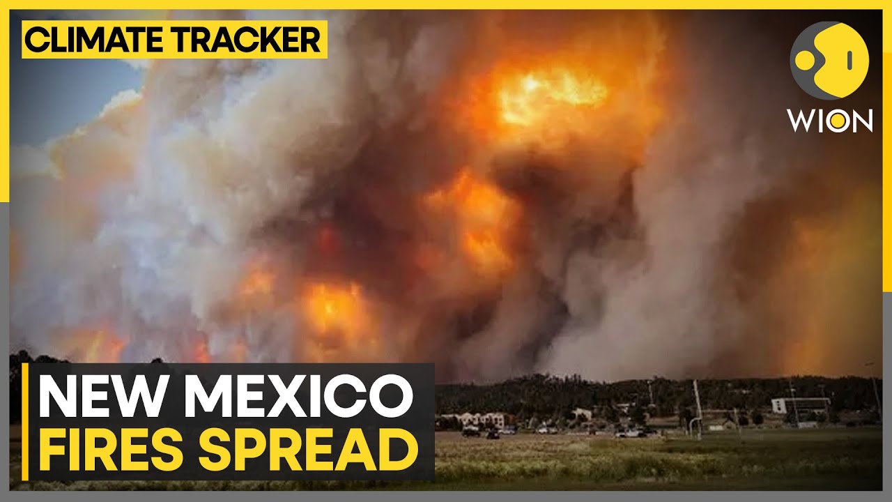 New Mexico fire spreads rapidly, state governor declares emergency | WION Climate Tracker