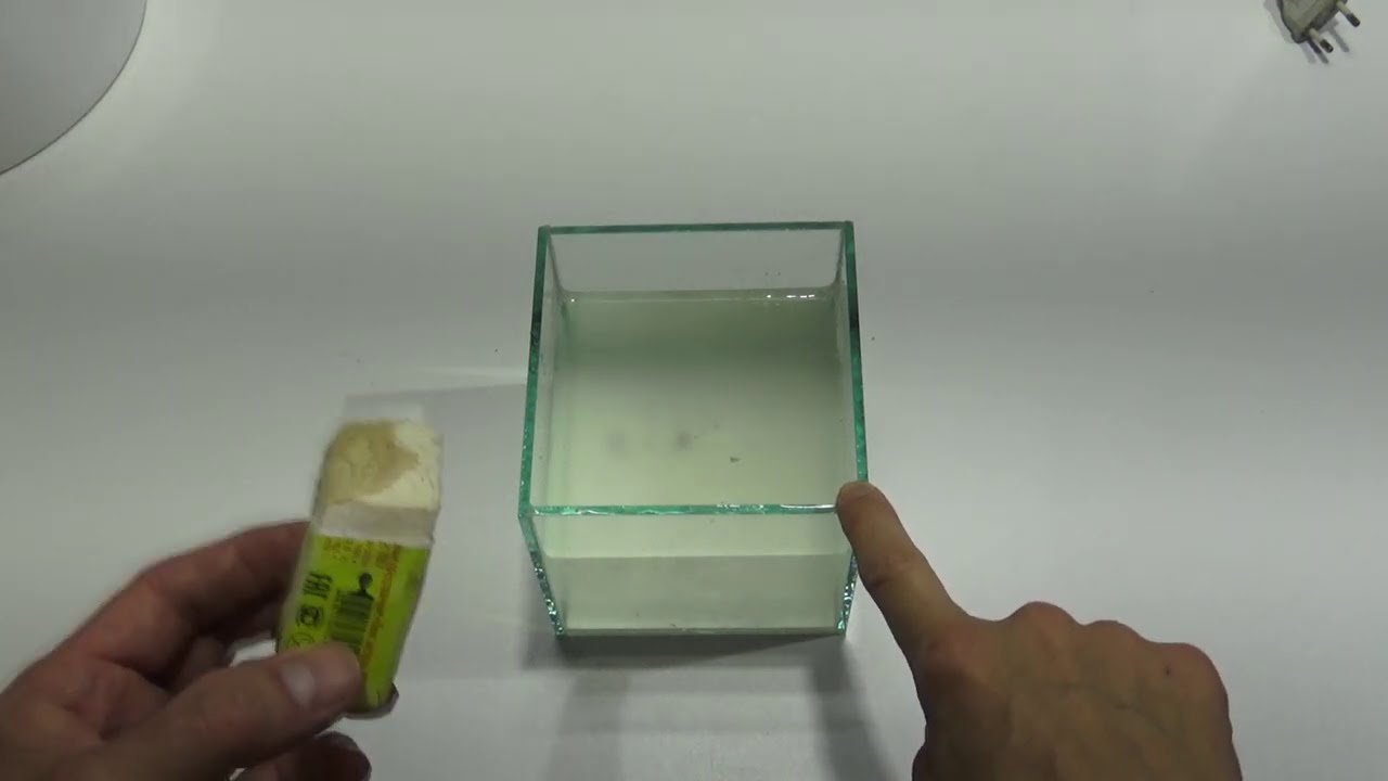 Дафния из Яиц 5 день ! ЧТО ДЕЛАЕМ !