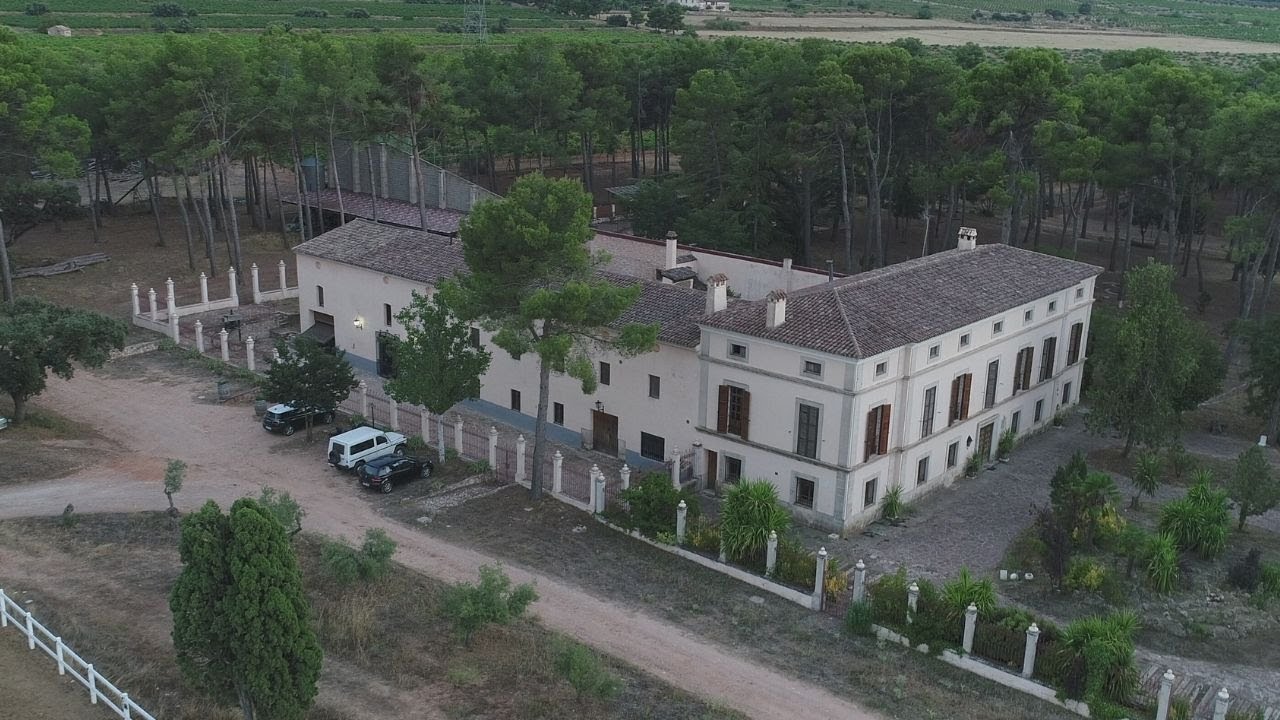 Bodegas Los Pinos Fontanars del Alforins en Valencia