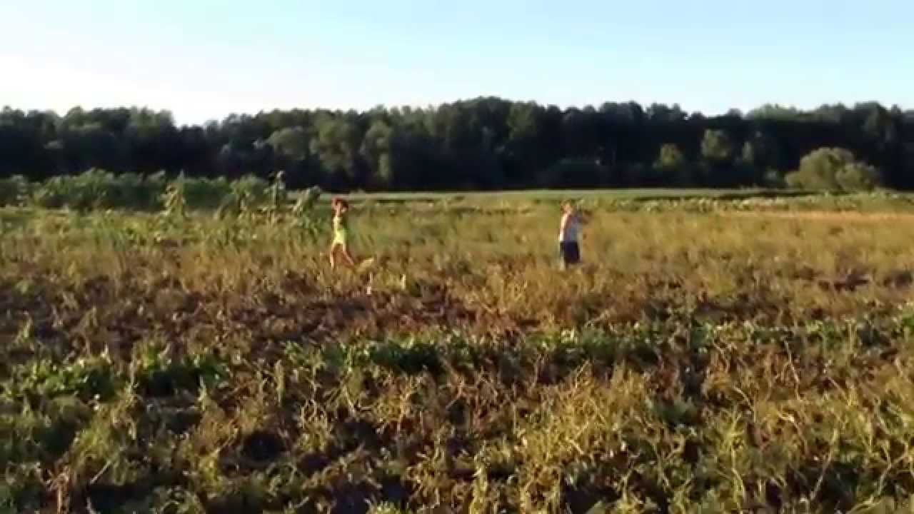 Карапиши привет Жанна!