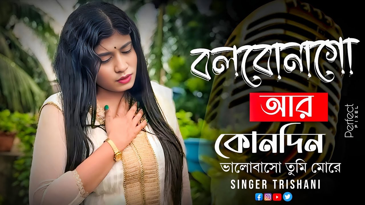 বলবোনা  গো আর কোনোদিন | Bolbona go ar kono din|Original song credit prothome Baul sukumar x Trishani