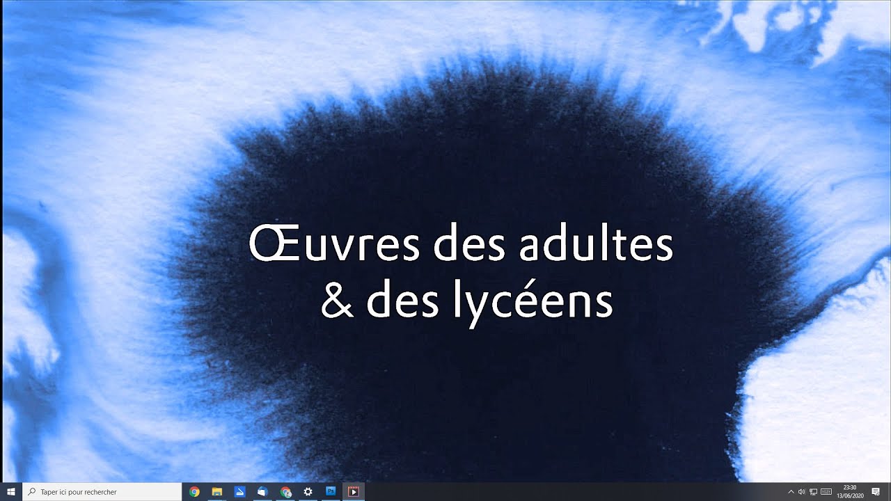 Exposition virtuelle 2020 des adultes et lycéens !