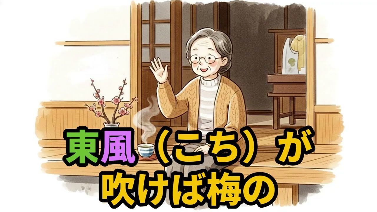 🌸「他人と比べない」生き方。梅の花が教えてくれた、人生後半を軽やかに笑って過ごす秘訣。