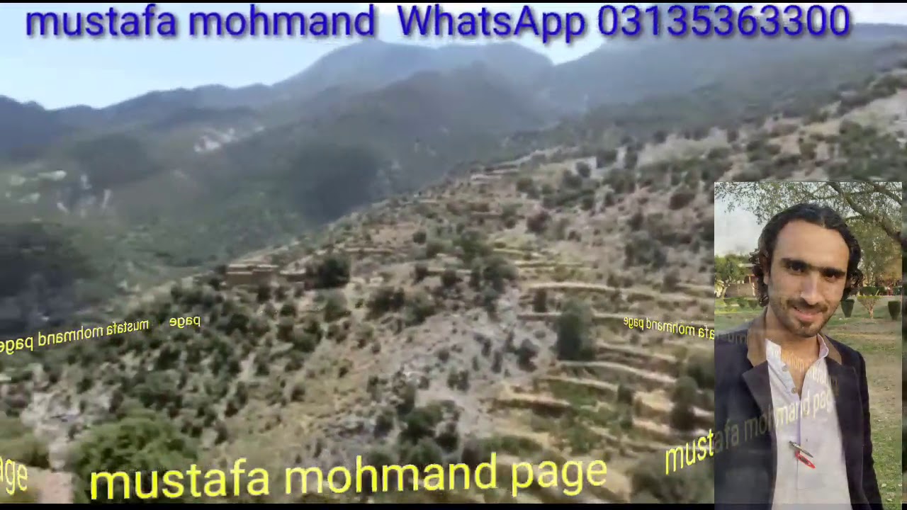 Pashto new song raz arab gull mustafa mohmand ewaz khan
