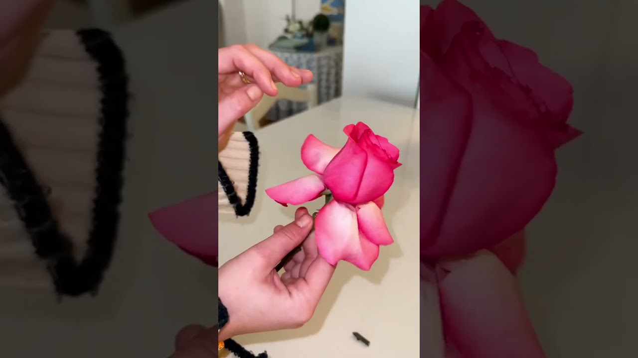 How to reflex roses! #roses #floralarrangement #reflexedroses #flowers
