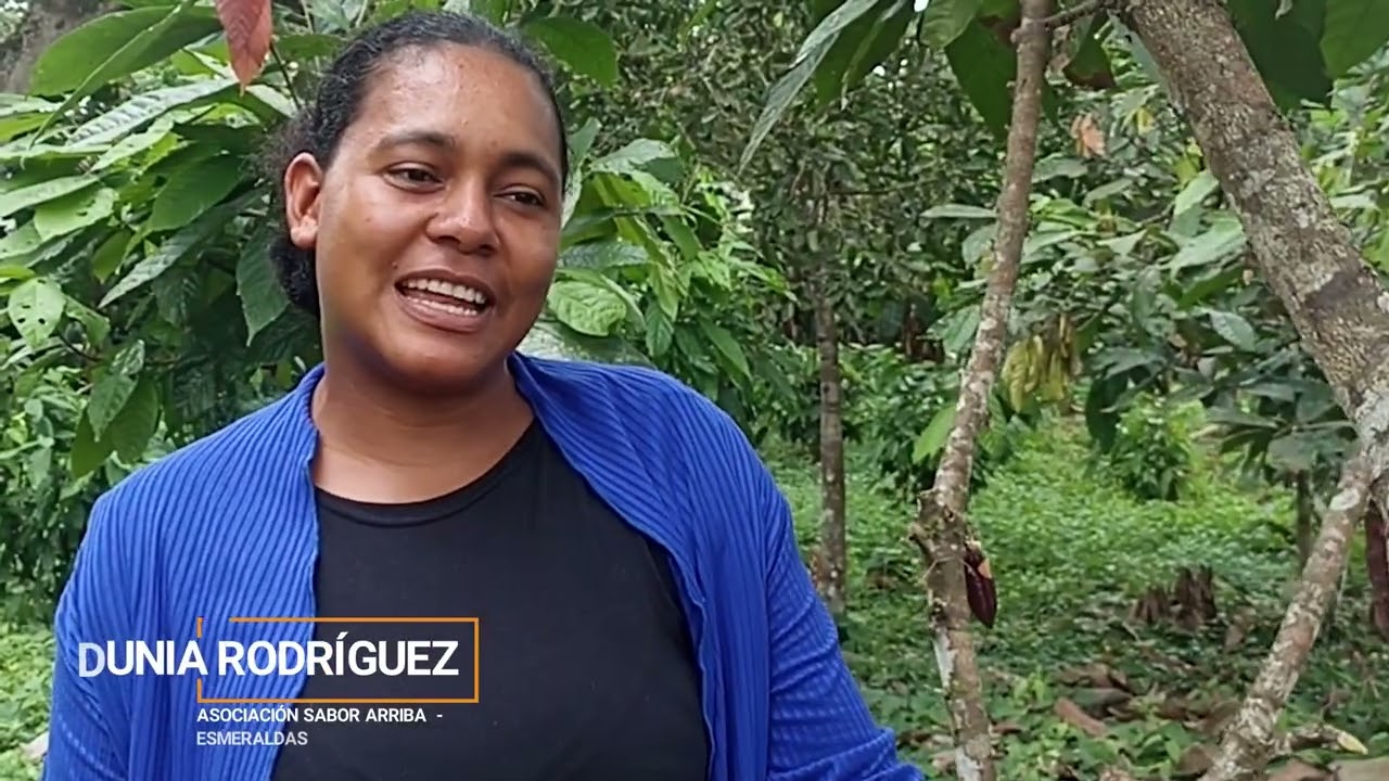 Cacao libre de deforestación
