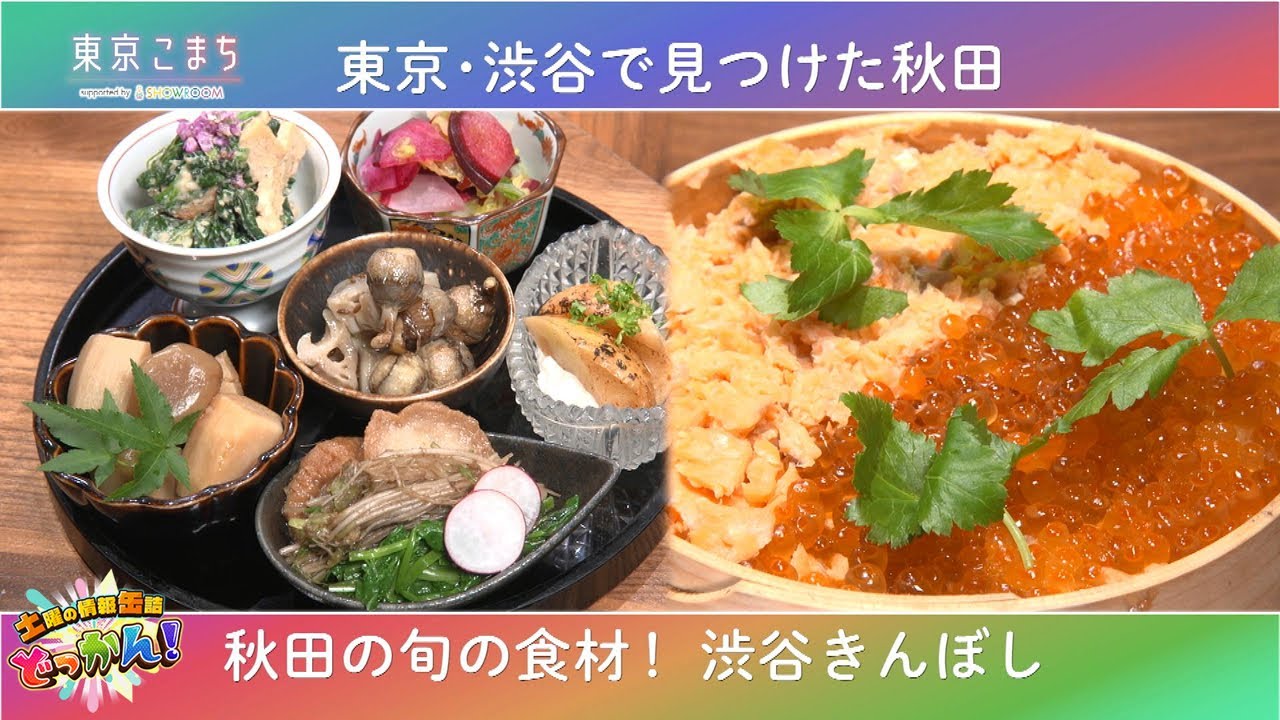 秋田の食文化を発信している渋谷区道玄坂の『渋谷きんぼし』へ🍲「土曜の情報缶詰どっかん！」♪東京こまち supported by SHOWROOM♪2026年1月31日放送