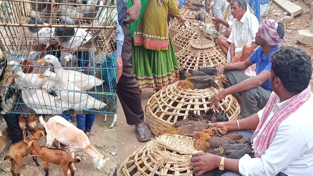 Erragadda Sunday Market in, Hyderabad TS India