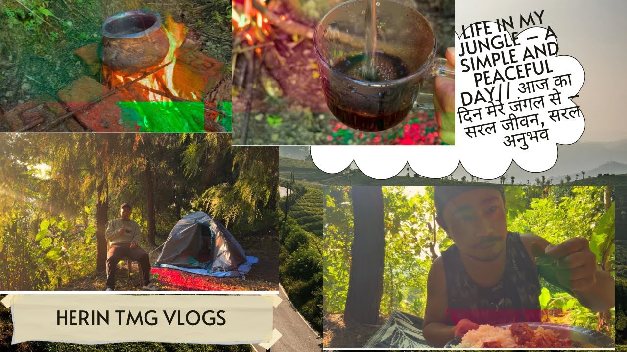 Life in My Jungle – A Simple and Peaceful Day// आज का दिन मेरे जंगल से – सरल जीवन, सरल अनुभव