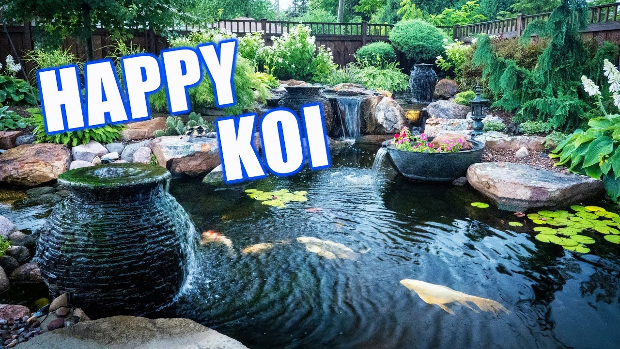 GARDEN Pond with Happy Koi