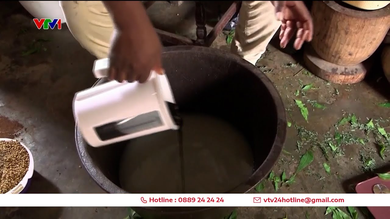 Sự l&ecirc;n ng&ocirc;i của ph&acirc;n b&oacute;n hữu cơ | VTV24