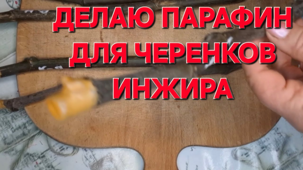 КАК СДЕЛАТЬ ПАРАФИН ДЛЯ ЧЕРЕНКОВ