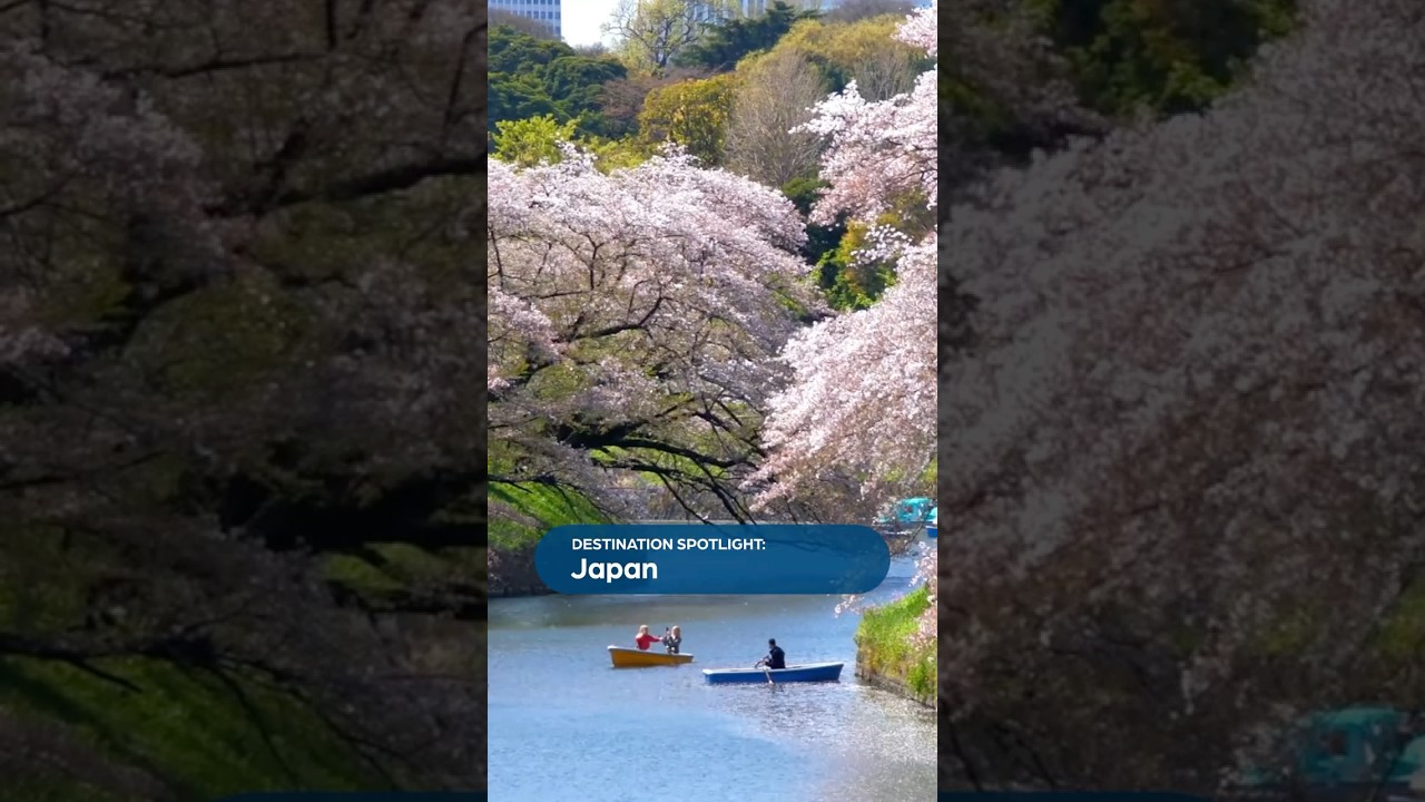 Destination Spotlight: Japan