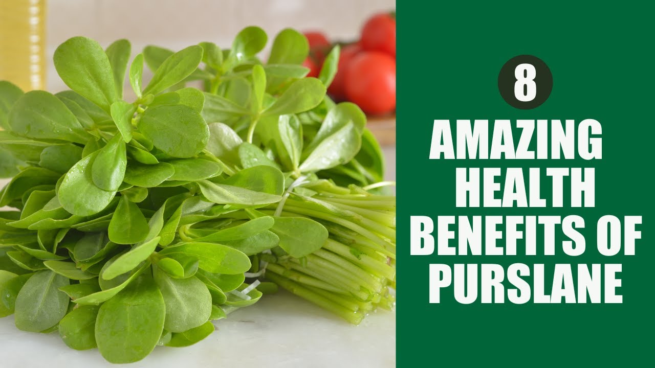 8 Mind-Blowing Benefits of Purslane You Won't Believe #purslane