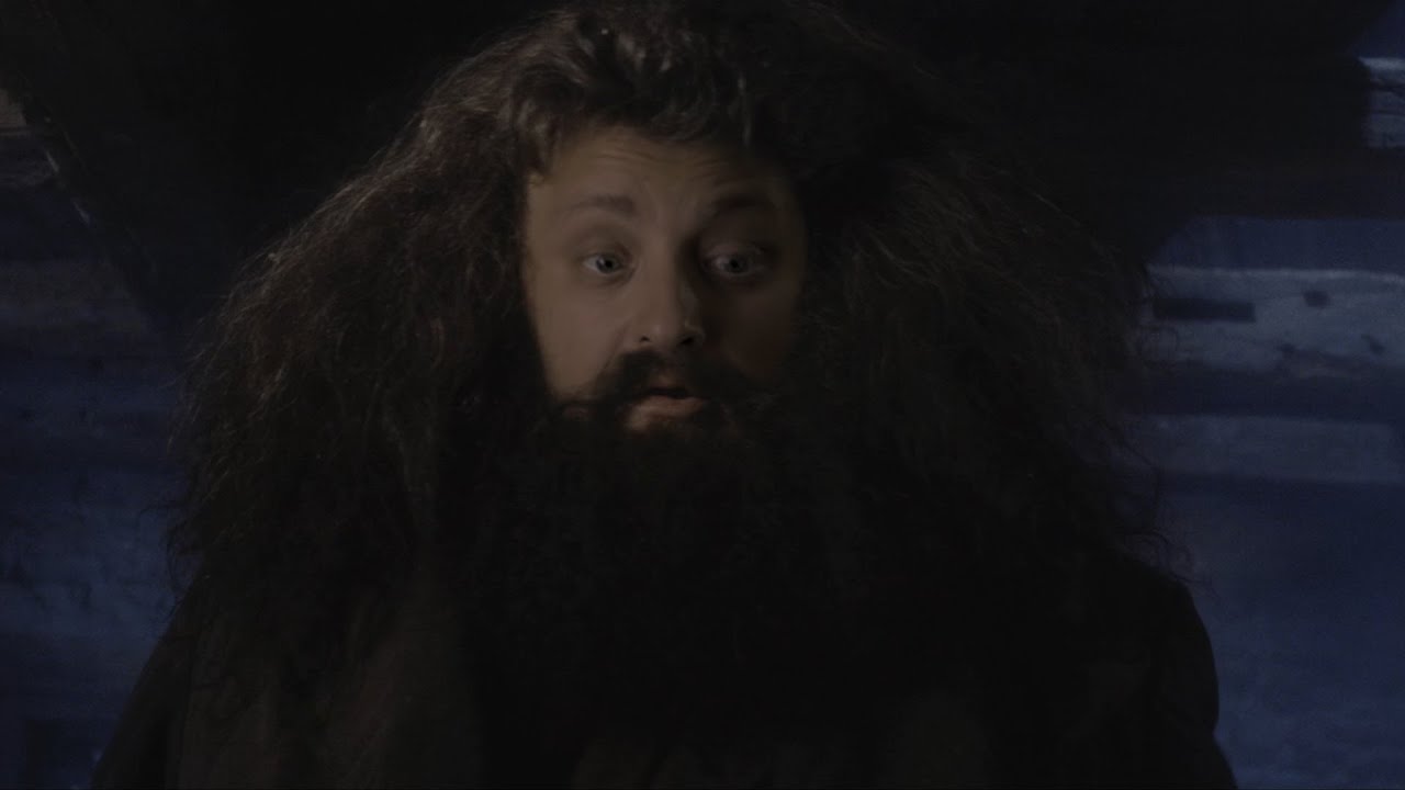Potter J&aacute;nos v&aacute;ratlan aj&aacute;nd&eacute;ka | TheVR | Harry Potter #deepfake