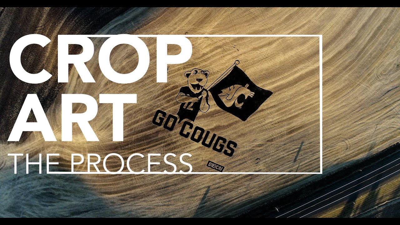 BECU/WSU Crop Art (director's cut) //  Artist Stan Herd creates a mascot in a Palouse wheat field.