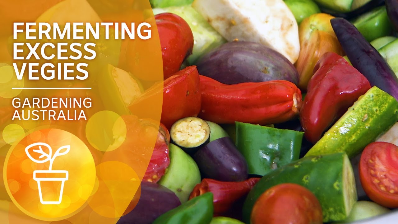 Fermenting vegetables is good for you and cuts down on food waste | Gardening Australia